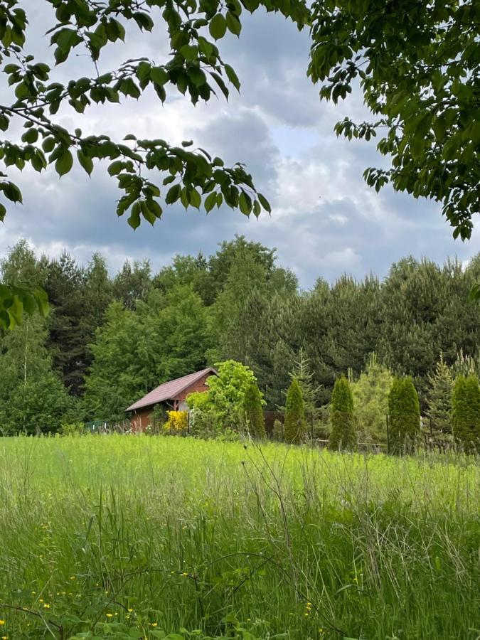 Wittowka - Domek Na Wylacznosc Z Dala Od Sasiadow Tomaszów Lubelski Екстериор снимка